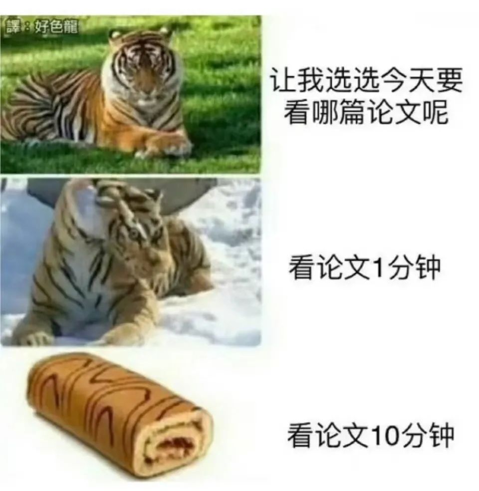 写作困境